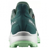 Incaltaminte Sport Salomon SUPERCROSS 3 GTX W thumbnav 5