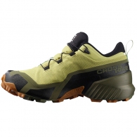 Incaltaminte Sport Salomon CROSS HIKE GTX W thumbnav