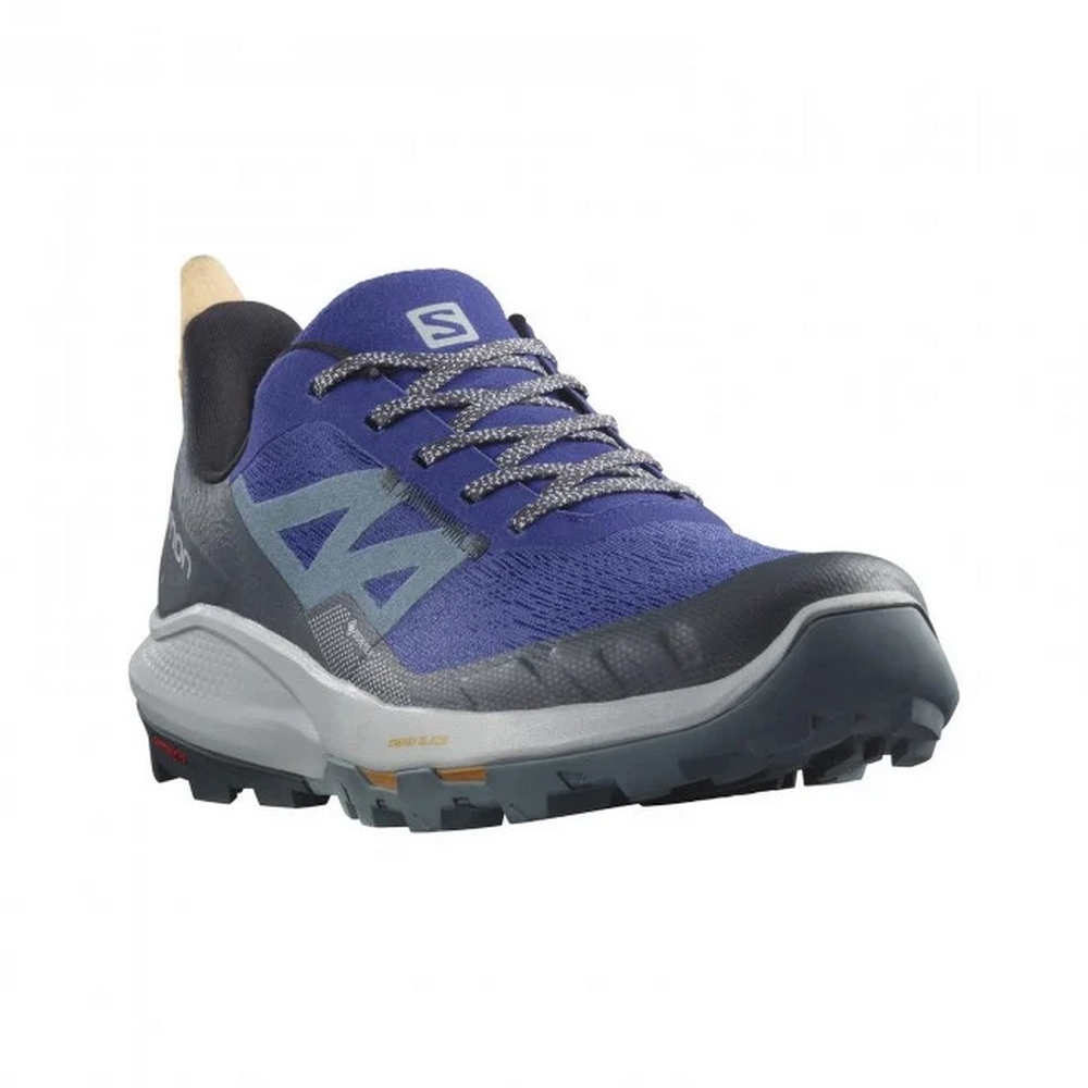 Кроссовки Salomon OUTpulse GTX / Мужской / 41.5 / Синий photo 2