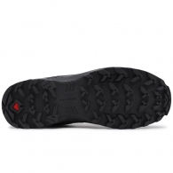 Incaltaminte Sport Salomon X BRAZE GTX thumbnav 3