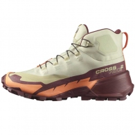 Ботинки Salomon SHOES CROSS HIKE MID GTX 2 W thumbnav