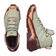 Ботинки Salomon SHOES CROSS HIKE MID GTX 2 W thumbnav 3