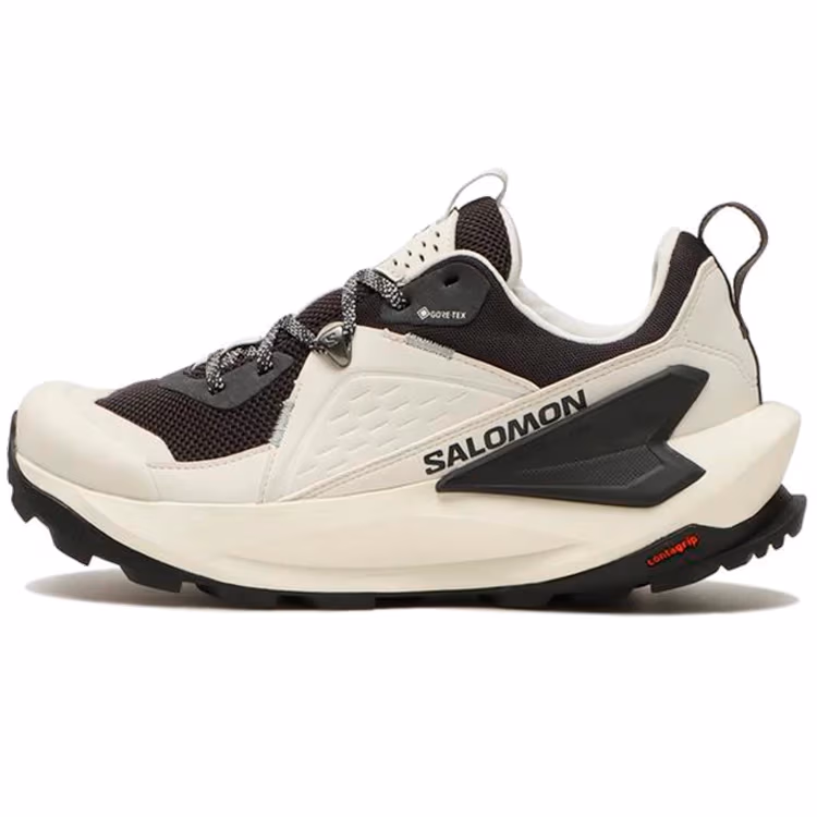 Кроссовки Salomon SHOES ELIXIR GTX W