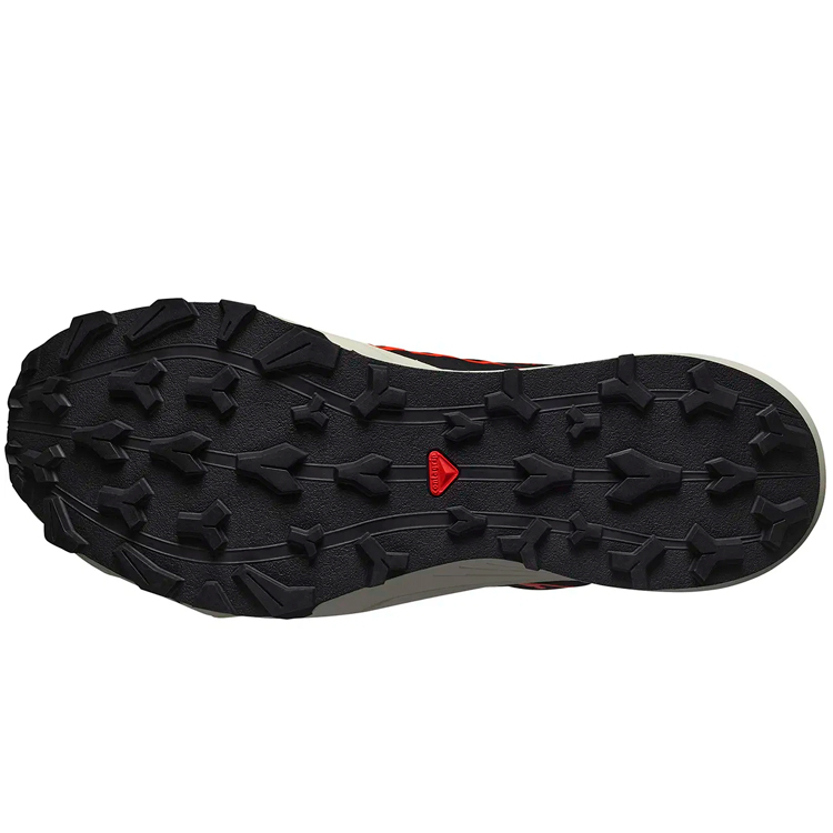 Кроссовки Salomon SHOES THUNDERCROSS GTX / Мужской / 44.5 / Серый/Черный photo 2