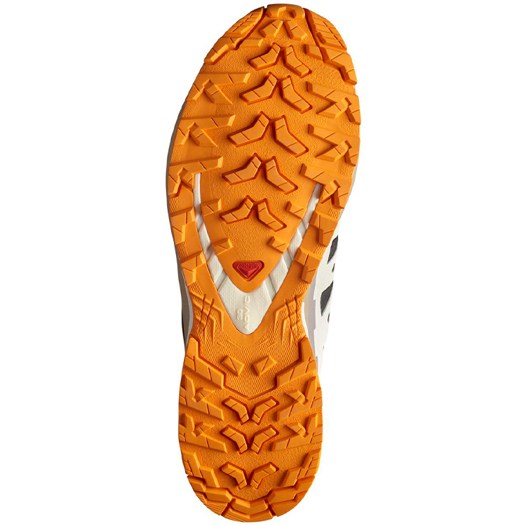 Кроссовки Salomon XA PRO 3D V9 GTX M photo 4