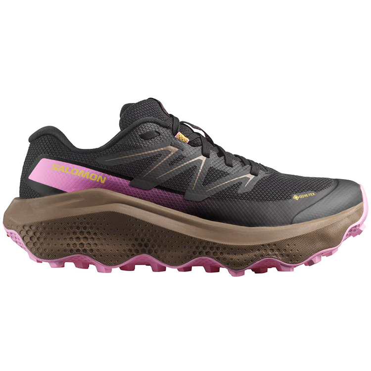 Кроссовки Salomon ULTRA FLOW 2 GTX W photo 2