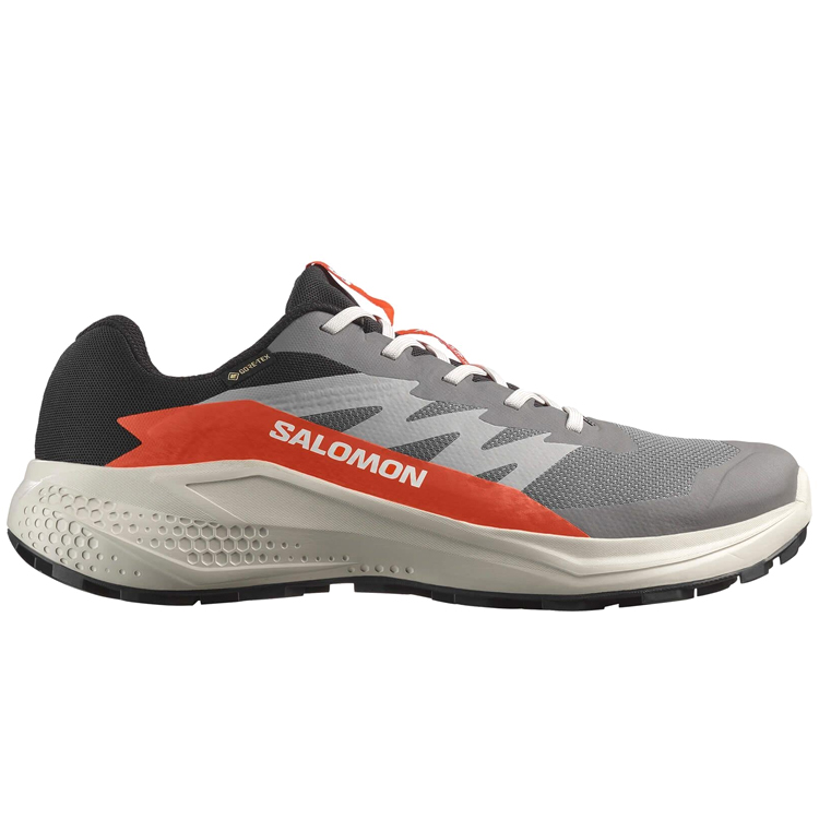 Incaltaminte Sport Salomon ALPHAGLIDE GTX M photo 2