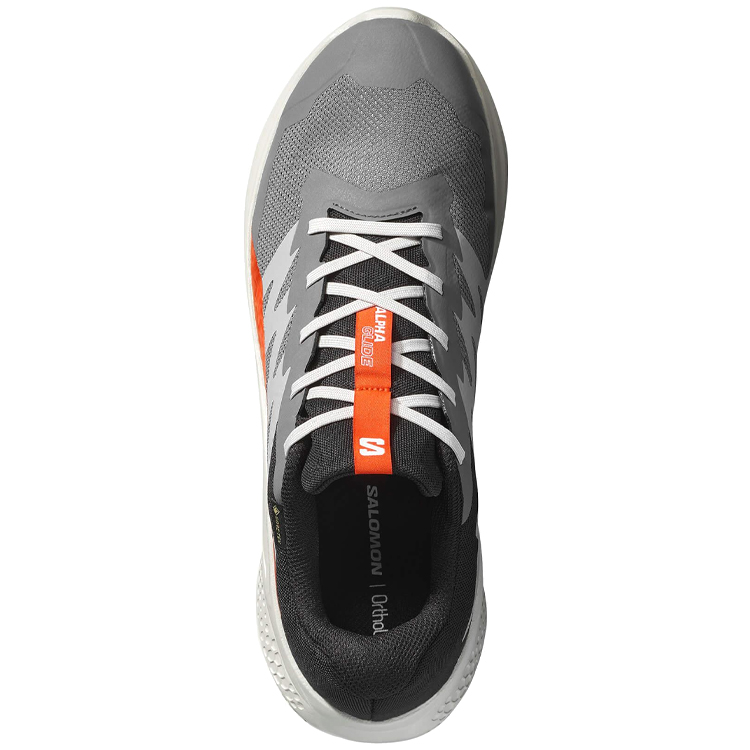 Incaltaminte Sport Salomon ALPHAGLIDE GTX M photo 3