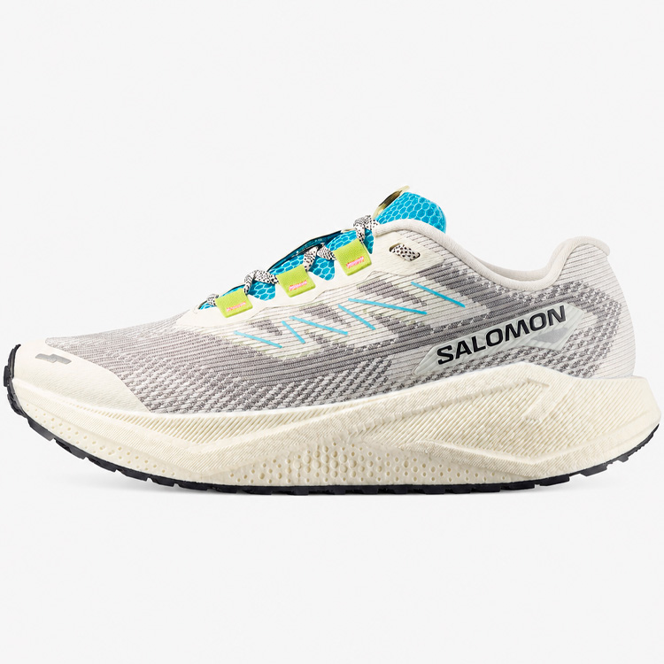 Incaltaminte Sport Salomon AERO BLAZE