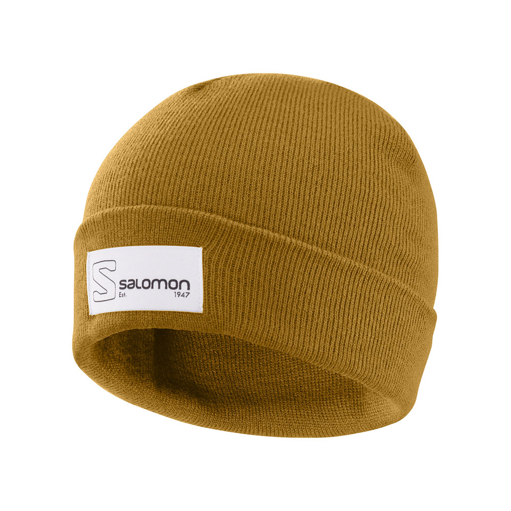 Caciula Salomon BEANIE LOGO photo Caciula Salomon BEANIE LOGO photo