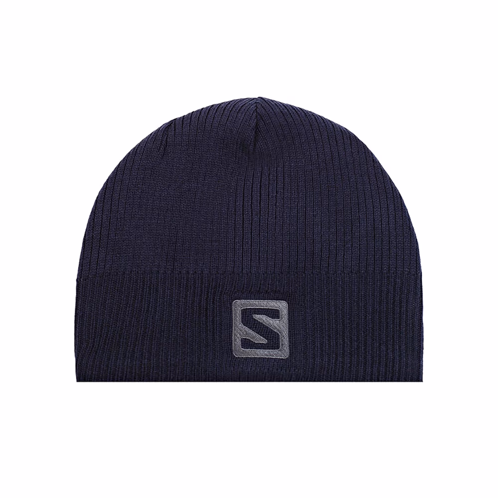 Шапка Salomon BEANIE LOGO