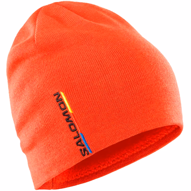Caciula Salomon GRAPHIC BEANIE
