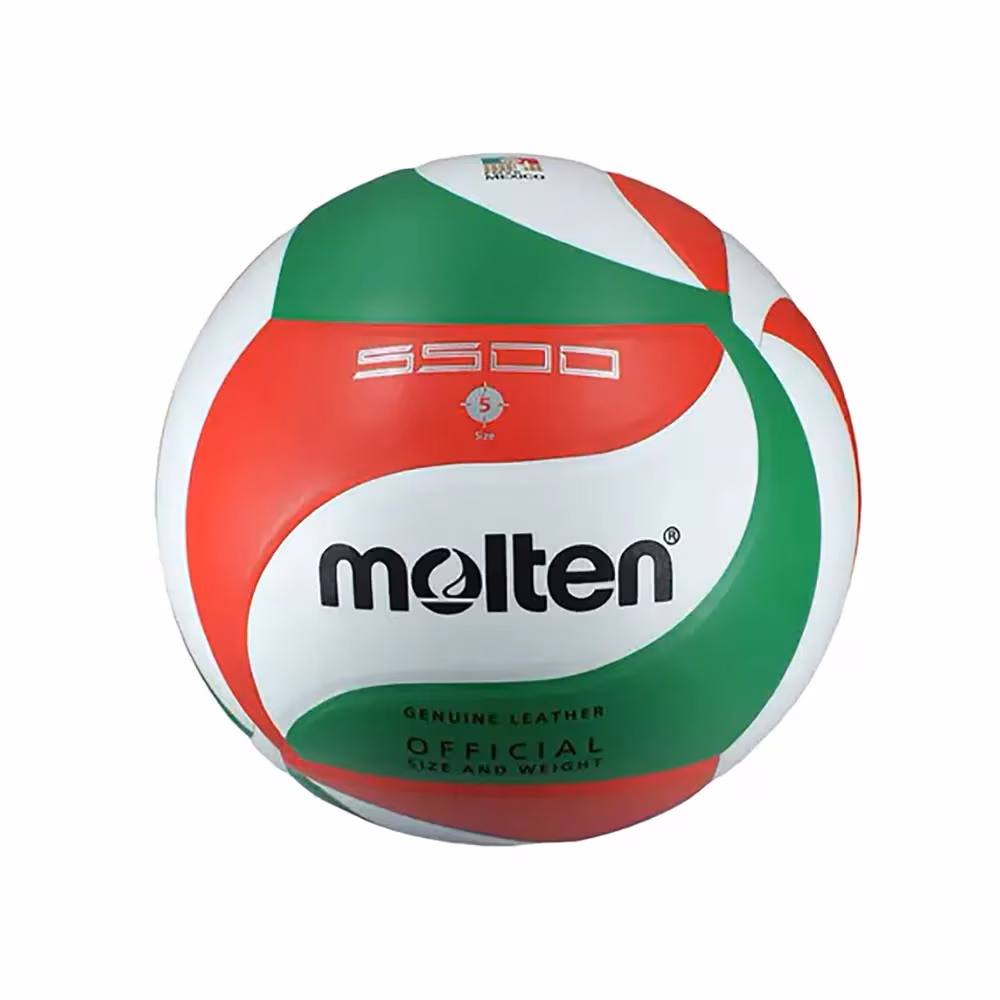 Мяч волейбольный Molten Volley ball 