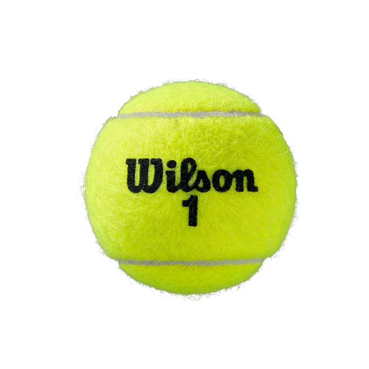Set mingi p/u tenis Wilson Roland Garros Clay Ct 4 Ball