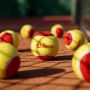 Set mingi pentru tenis 12 buc Wilson STARTER RED TBALL 12 PACK thumbnav 2