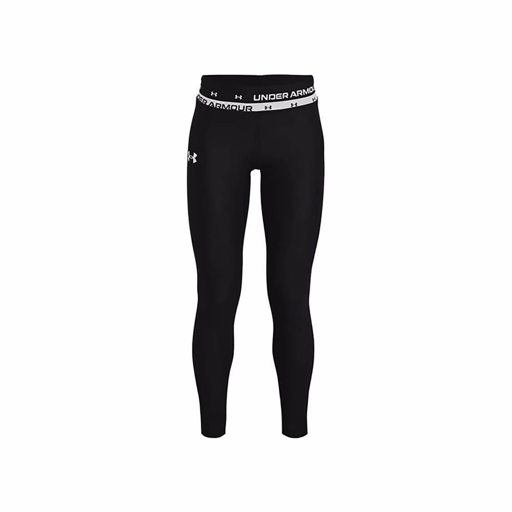 Легинсы Under Armour HG Legging