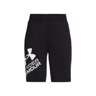 Шорты Under Armour UA BGS PROTOTYPE 2.0 LOGO SHORTS