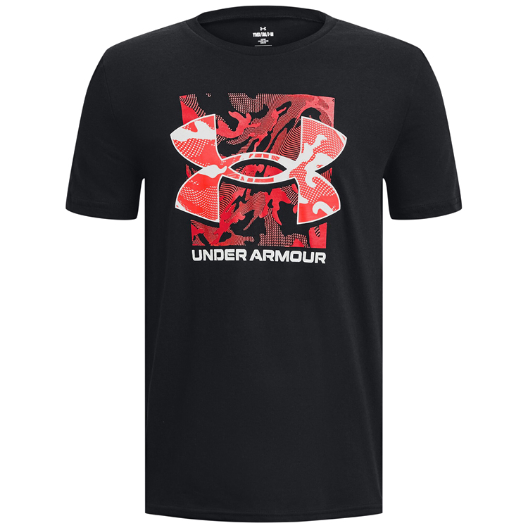 Футболка Under Armour UA BOX LOGO CAMO SS photo 