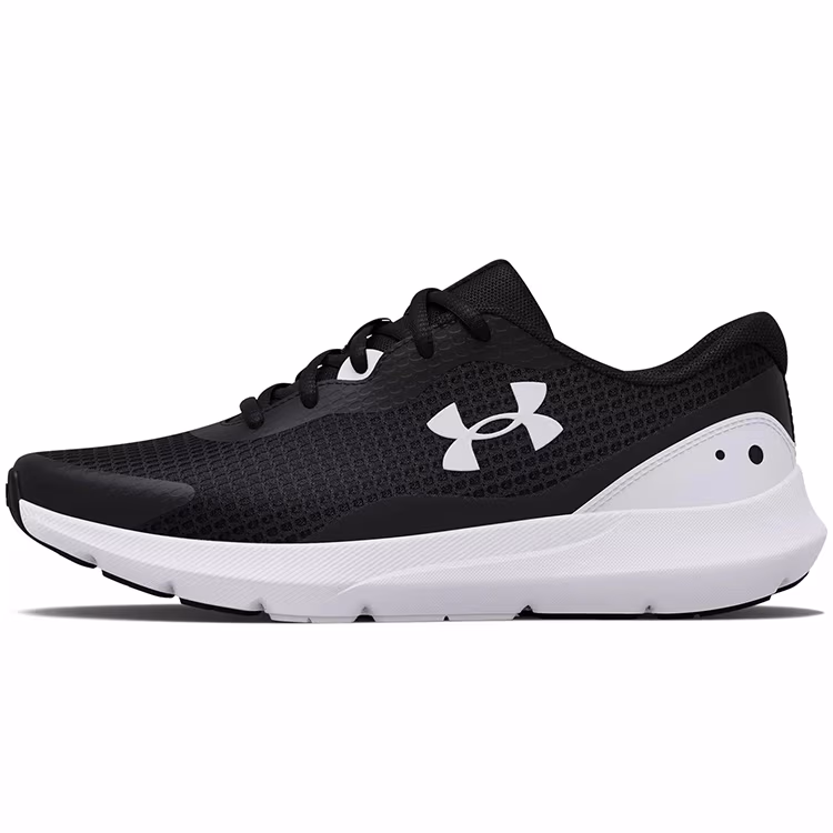 Кроссовки Under Armour UA W Surge 3