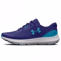 Кроссовки Under Armour UA BGS SURGE 3
