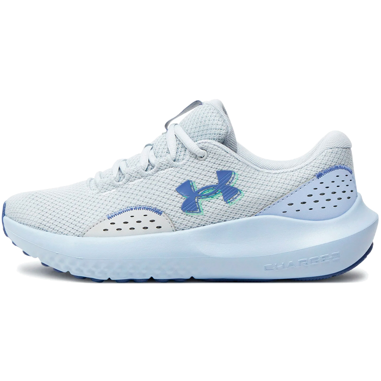 Кроссовки Under Armour UA W Charged Surge 4 photo 
