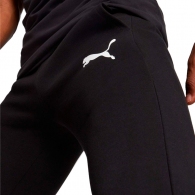 Брюки Puma EVOSTRIPE Core Pants thumbnav 5