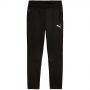 Pantaloni Puma EVOSTRIPE Warm Pants thumbnav
