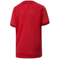 Tricou Puma teamGOAL 23 Jersey jr thumbnav 2