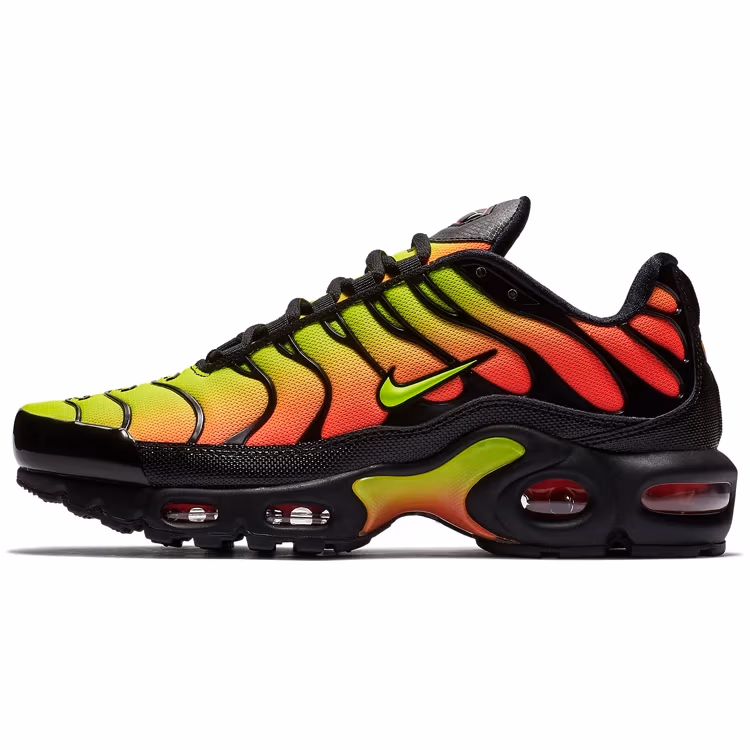 Кроссовки Nike WMNS AIR MAX PLUS TN SE