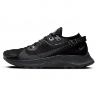 Кроссовки Nike PEGASUS TRAIL 2 GTX thumbnav