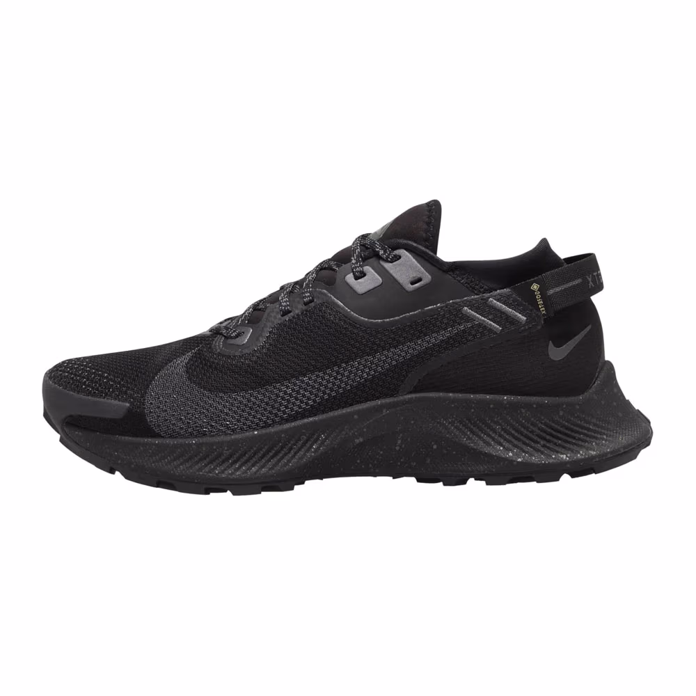 Кроссовки Nike W PEGASUS TRAIL 2 GTX