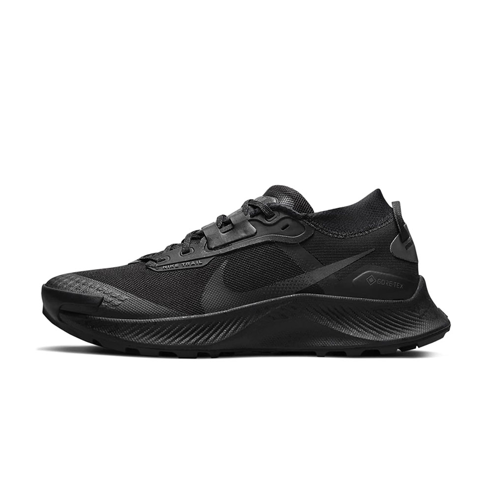 Incaltaminte Sport Nike W PEGASUS TRAIL 3 GTX photo 
