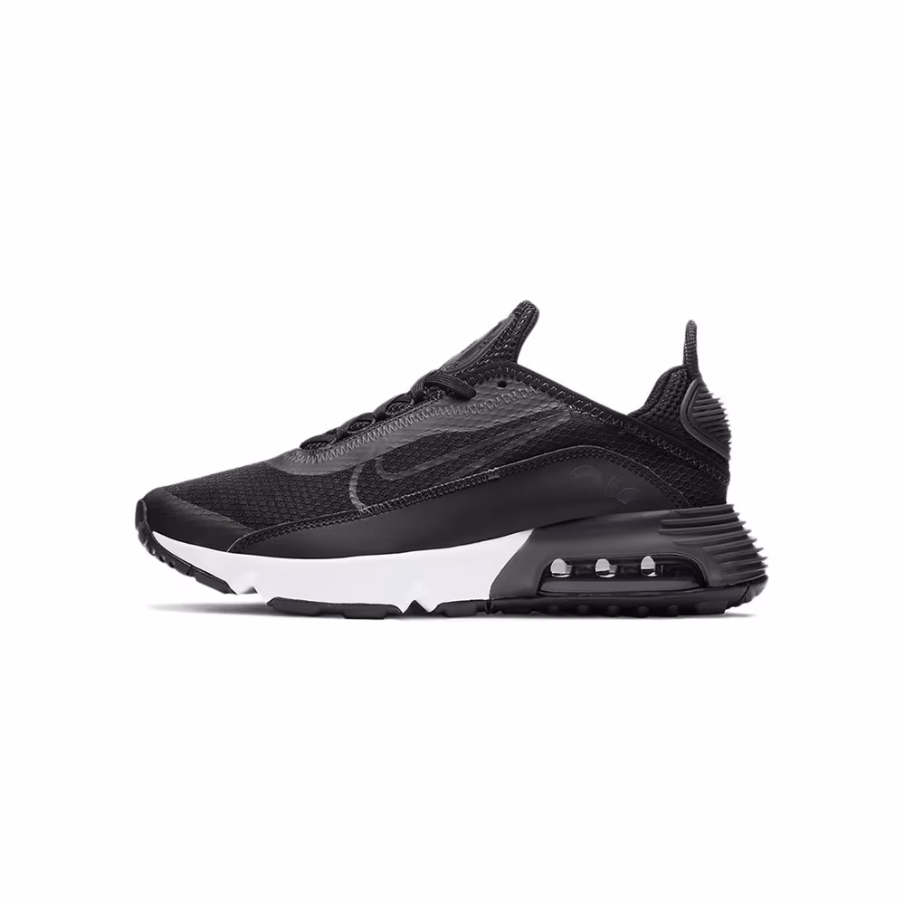 Кроссовки Nike AIR MAX 2090 GS