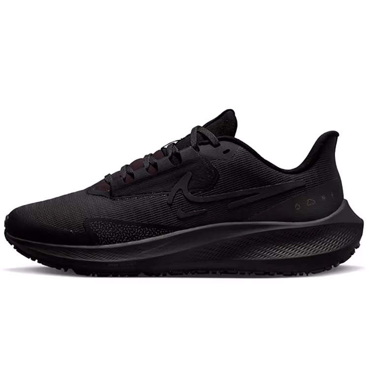 Incaltaminte Sport Nike W AIR ZOOM PEGASUS 39 SHIELD
