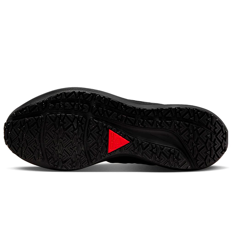 Кроссовки Nike W AIR ZOOM PEGASUS 39 SHIELD / Женский / 40.5 / Черный photo 2