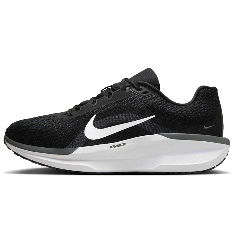 Incaltaminte Sport Nike AIR WINFLO 11 photo 