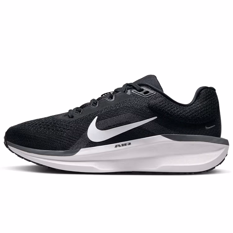 Кроссовки Nike WMNS AIR WINFLO 11