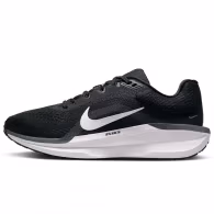 Кроссовки Nike WMNS AIR WINFLO 11