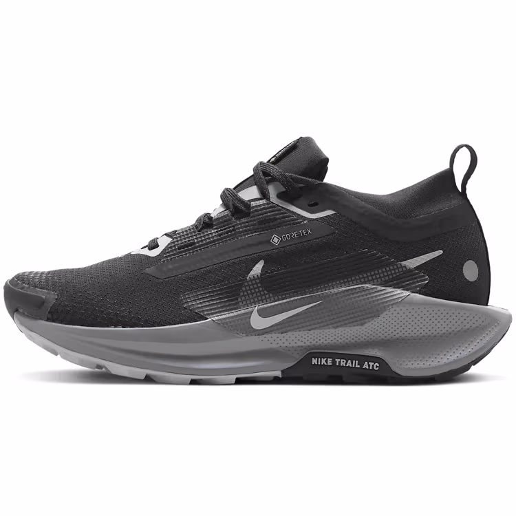 Кроссовки Nike W PEGASUS TRAIL 5 GTX