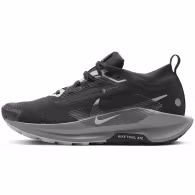 Кроссовки Nike W PEGASUS TRAIL 5 GTX