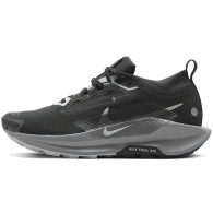Кроссовки Nike W PEGASUS TRAIL 5 GTX thumbnav