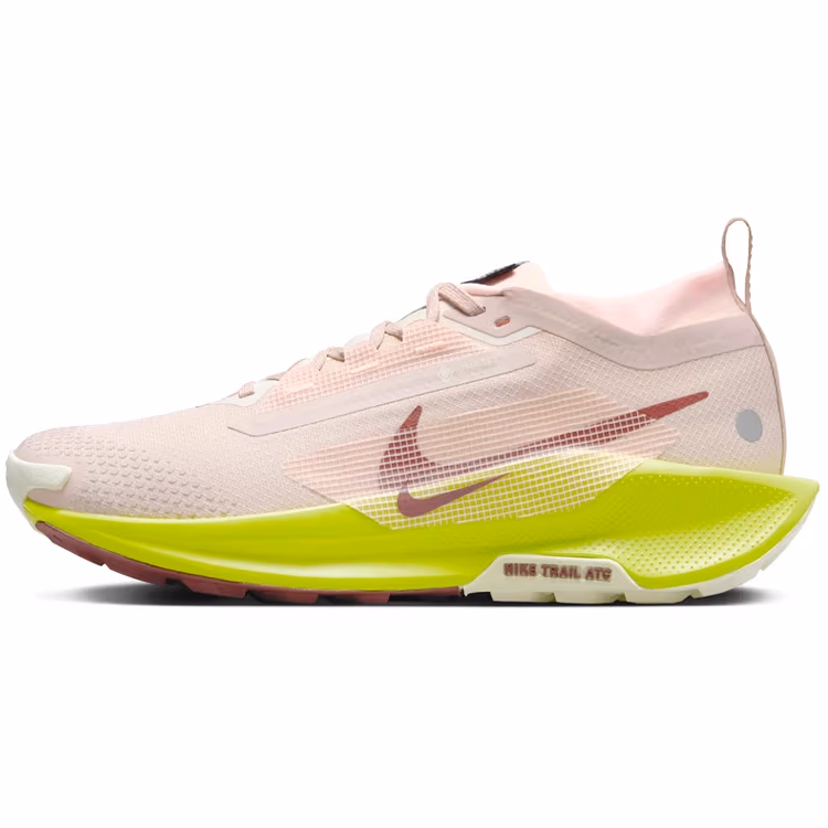 Incaltaminte Sport Nike W PEGASUS TRAIL 5 GTX