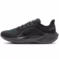 Incaltaminte Sport Nike AIR ZM PEGASUS 41 GTX