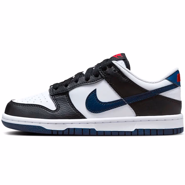 Incaltaminte Sport Nike DUNK LOW GS