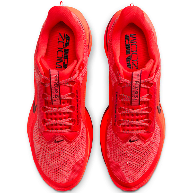 Кроссовки Nike PEGASUS PREMIUM photo 2