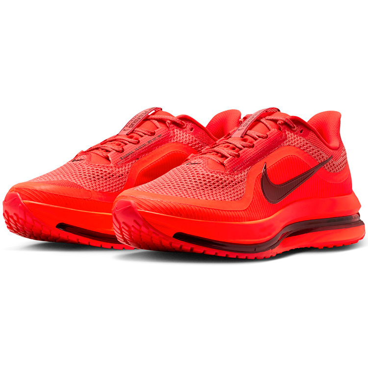 Кроссовки Nike PEGASUS PREMIUM photo 7