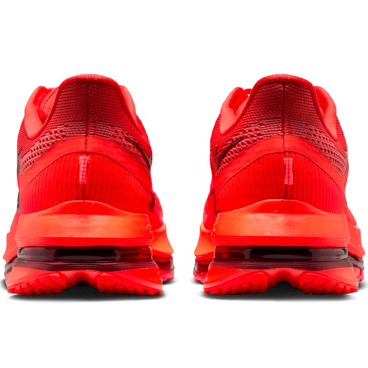 Кроссовки Nike PEGASUS PREMIUM photo 8