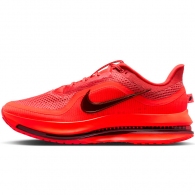 Кроссовки Nike PEGASUS PREMIUM thumbnav 1