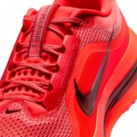 Кроссовки Nike PEGASUS PREMIUM thumbnav 4