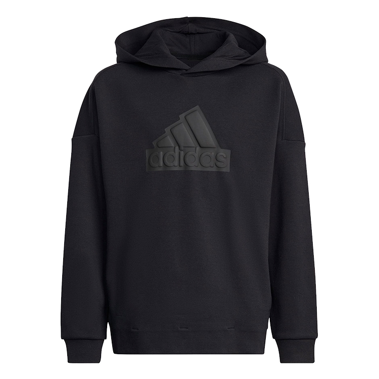 Толстовка Adidas U FI LOGO HD photo 
